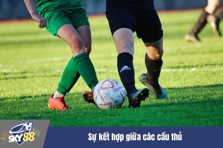 Sự kết hợp giữa các cầu thủ