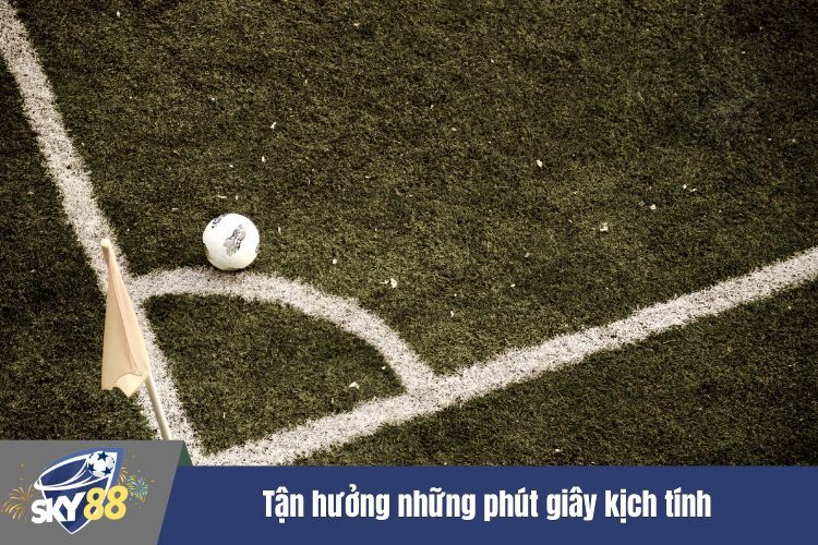 Tận hưởng những phút giây kịch tính