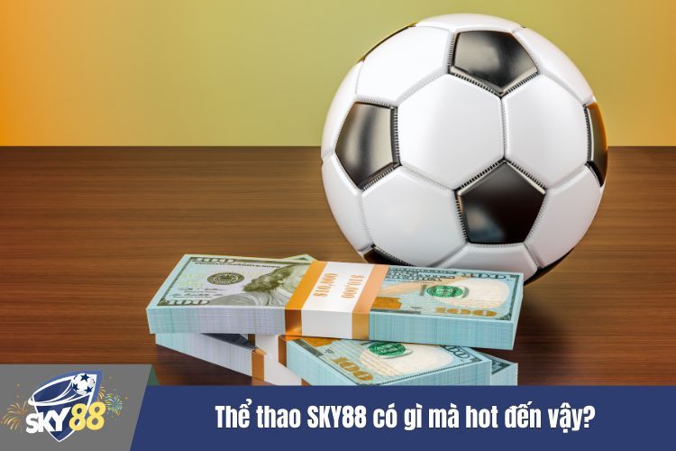 Thể thao SKY88 có gì mà hot đến vậy?