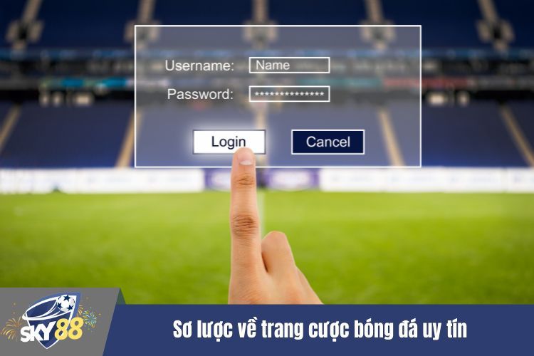 Sơ lược về trang cược bóng đá uy tín